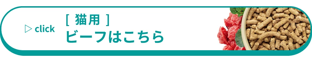 ビーフ