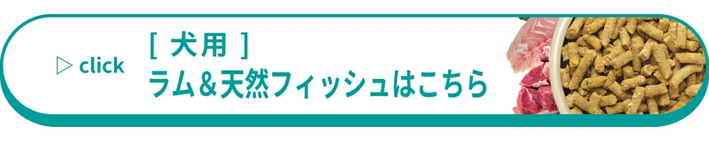 ラムアンドフィッシュ