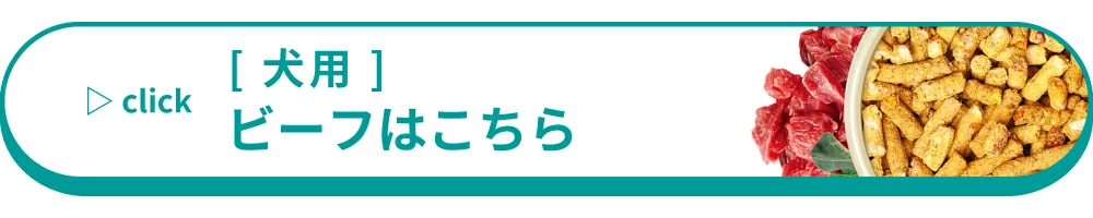 ビーフ