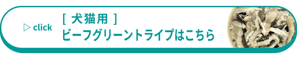 ビーフトライプ