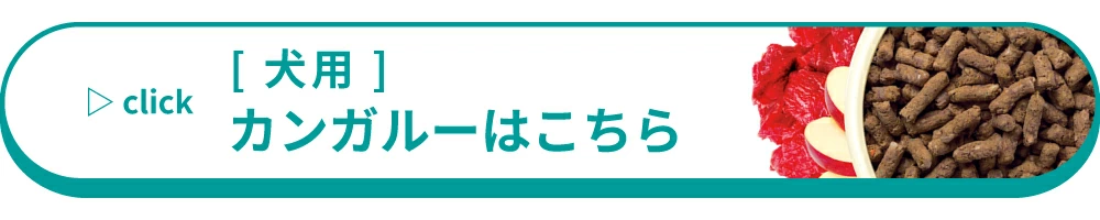 カンガルー