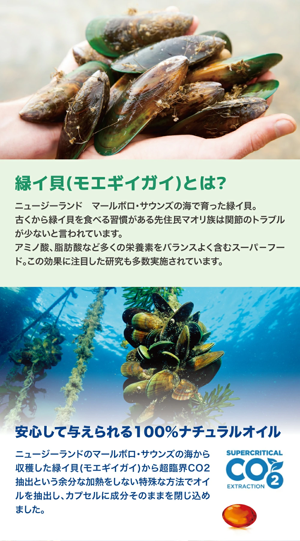 LaLaPetオフィシャルストア