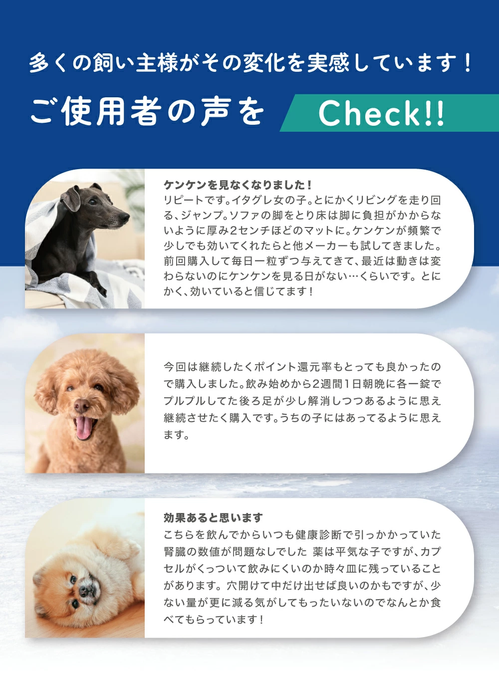 LaLaPetオフィシャルストア