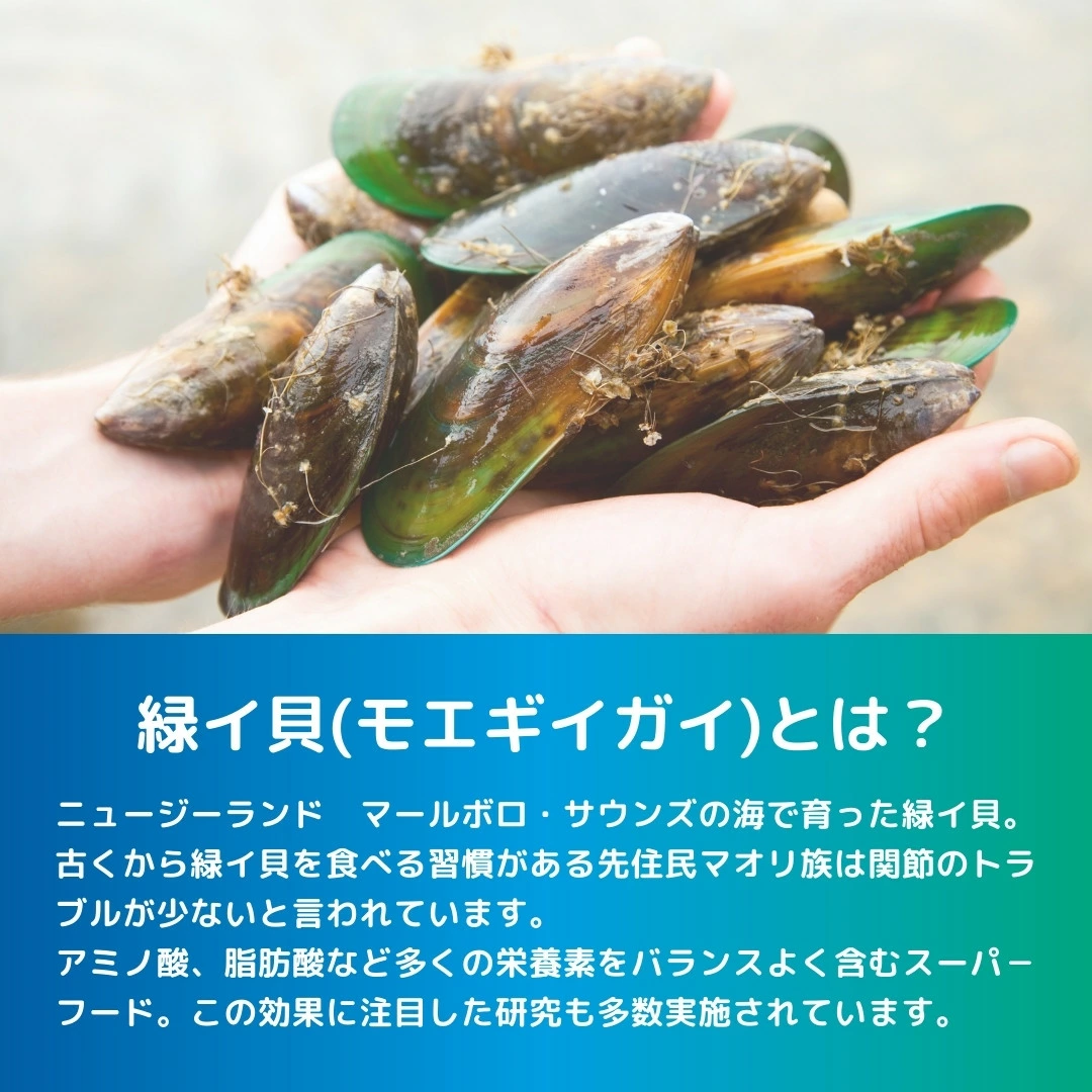 LaLaPetオフィシャルストア