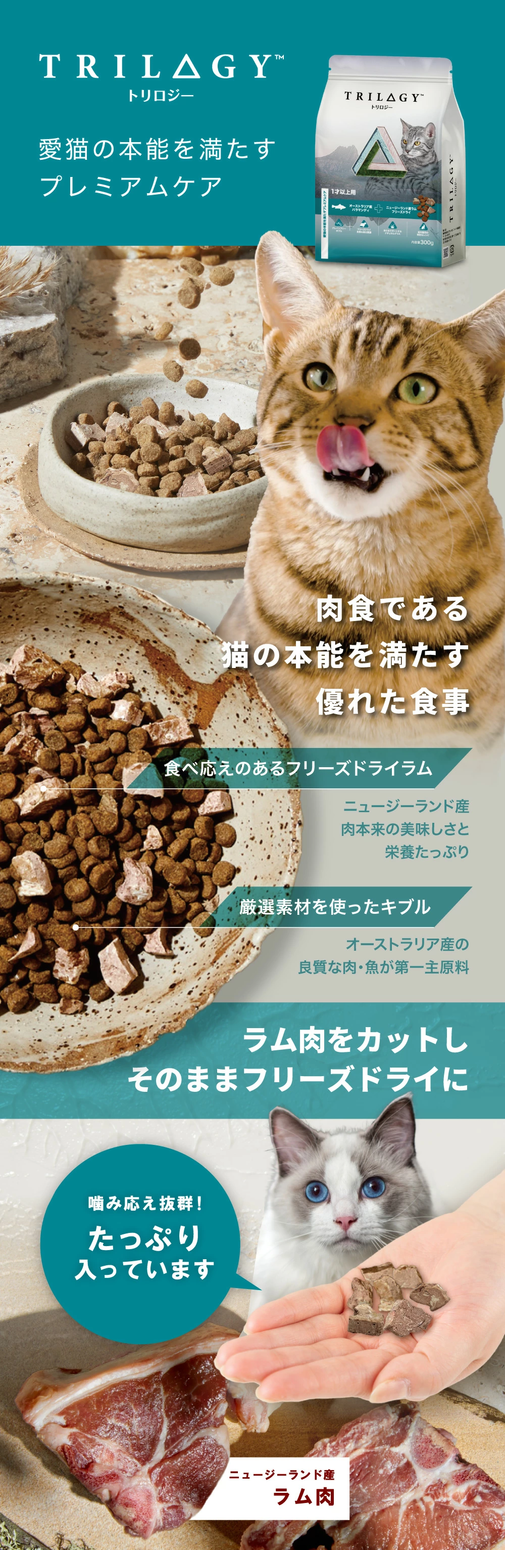 LaLaPetオフィシャルストア