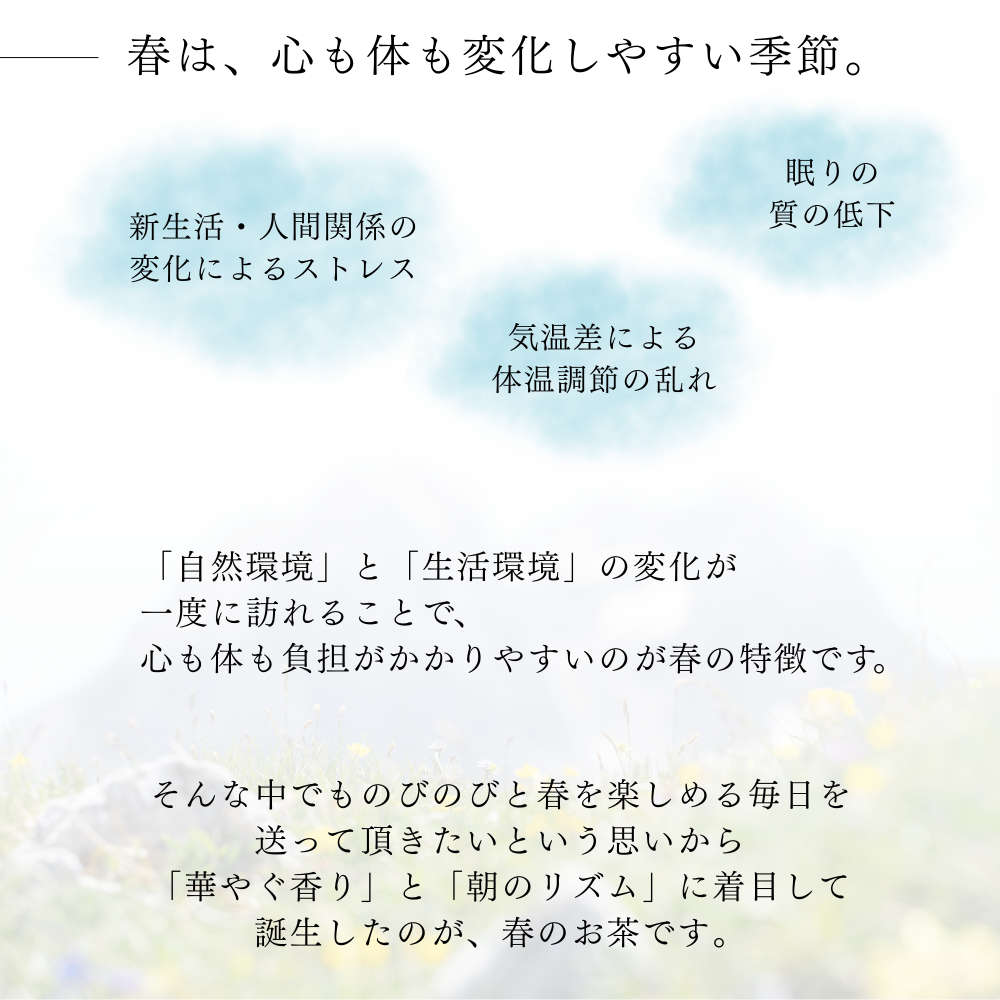 春のお茶 ジャスミンとローズのうららかブレンド