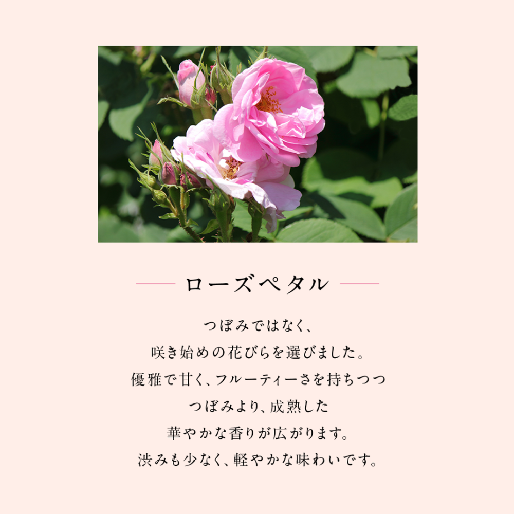 春のお茶 ジャスミンとローズのうららかブレンド