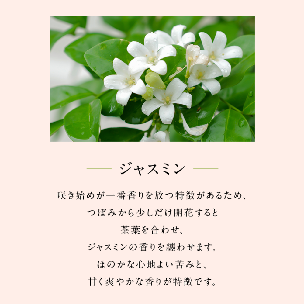 季節のお茶「春と冬のセット」