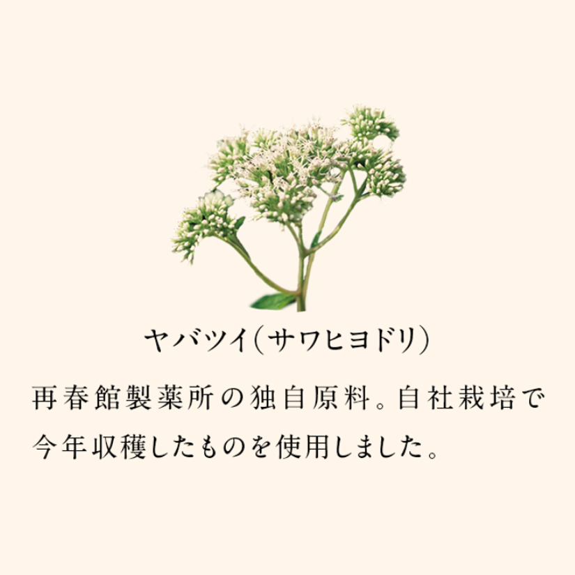 冬のお茶 グリーンルイボスと生姜のあったかブレンド