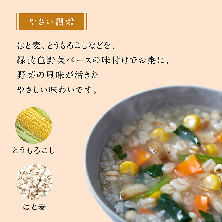 薬膳スープ粥 10箱(40食)
