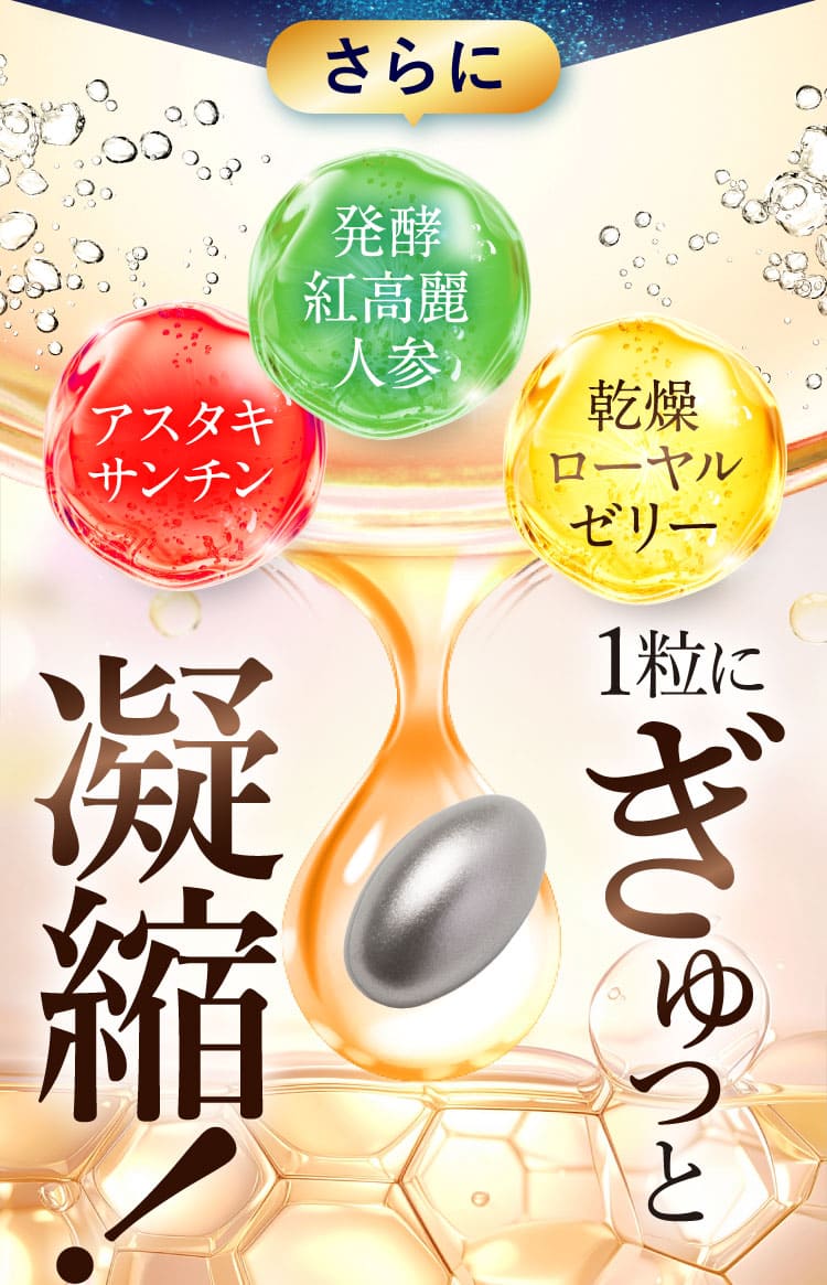ぎゅっと凝縮！