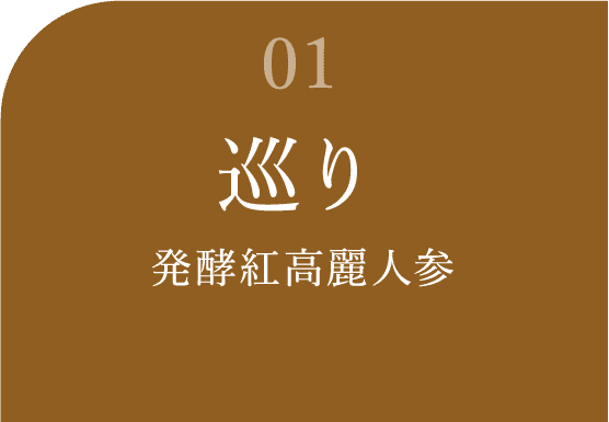 巡り