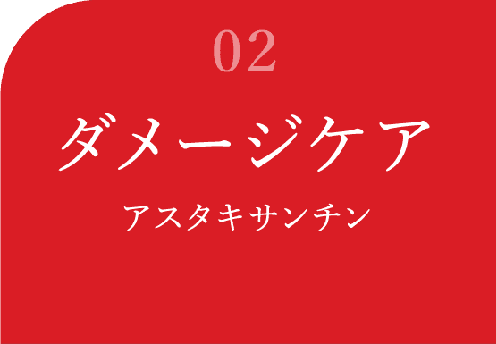 ダメージケア