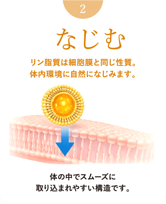 なじむ