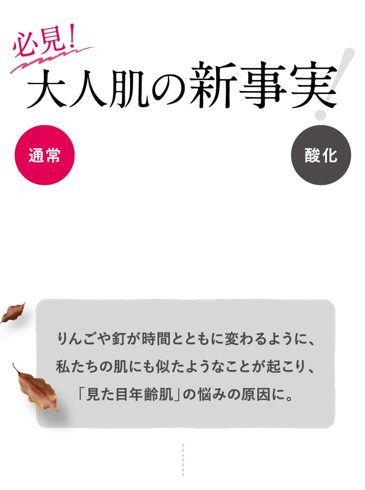 大人肌の新事実