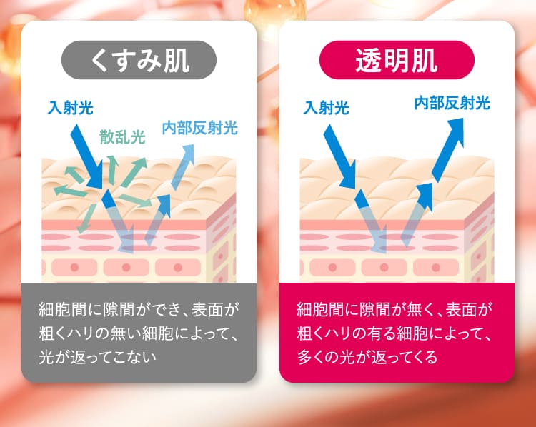 くすみ肌 透明肌