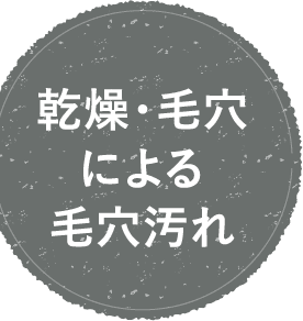 乾燥・毛穴による毛穴汚れ
