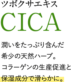 ツボクサエキスCICA