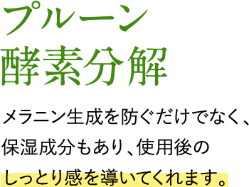 プルーン酵素分解