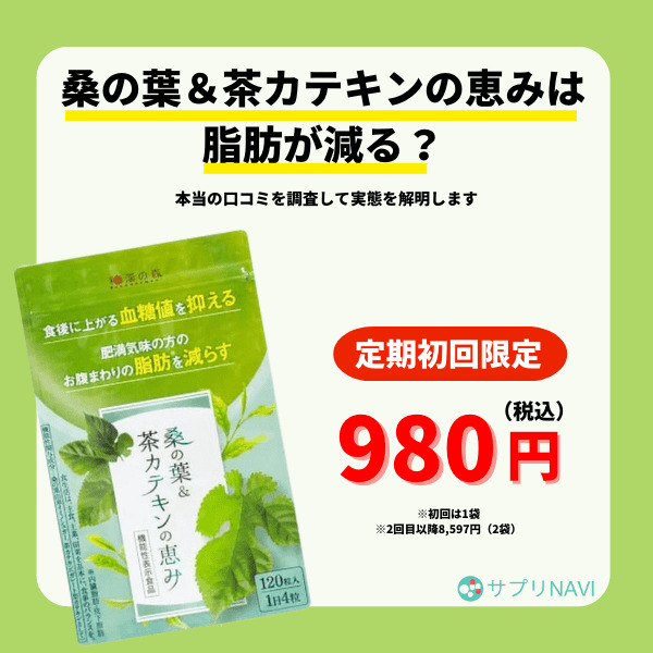 和漢の森 桑の葉&茶カテキンの恵み 120粒入り 3袋 