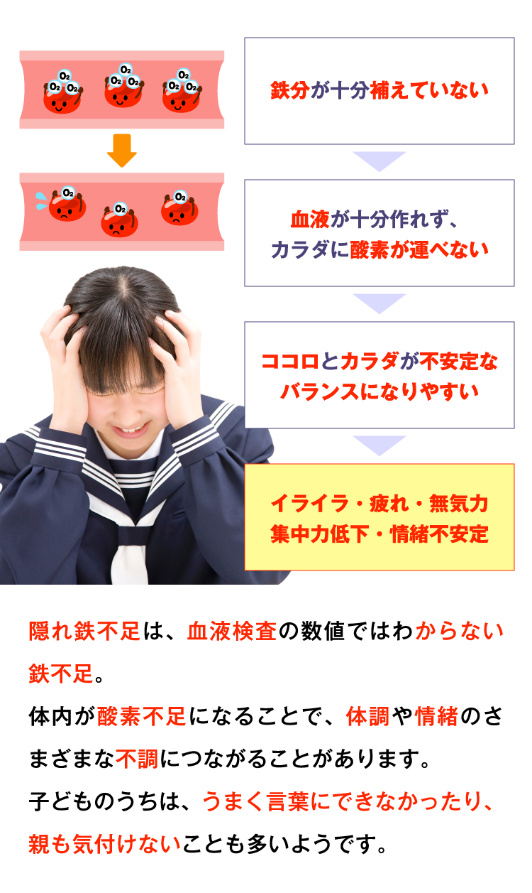鉄分が十分補えていない 血液が十分作れず、カラダに酸素が運べない ココロとカラダが不安定なバランスになりやすい イライラ・疲れ・無気力集中力低下・情緒不安定 隠れ鉄不足は、血液検査の数値ではわからない鉄不足。体内が酸素不足になることで、体調や情緒のさまざまな不調につながることがあります。子どものうちは、うまく言葉にできなかったり、親も気付けないことも多いようです。