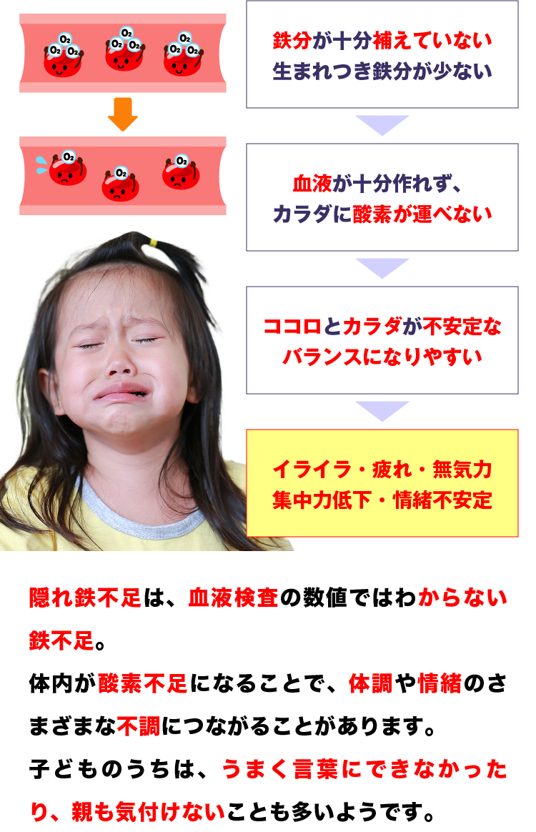 鉄分が十分補えていない 血液が十分作れず、カラダに酸素が運べない ココロとカラダが不安定なバランスになりやすい イライラ・疲れ・無気力集中力低下・情緒不安定 隠れ鉄不足は、血液検査の数値ではわからない鉄不足。体内が酸素不足になることで、体調や情緒のさまざまな不調につながることがあります。子どものうちは、うまく言葉にできなかったり、親も気付けないことも多いようです。
