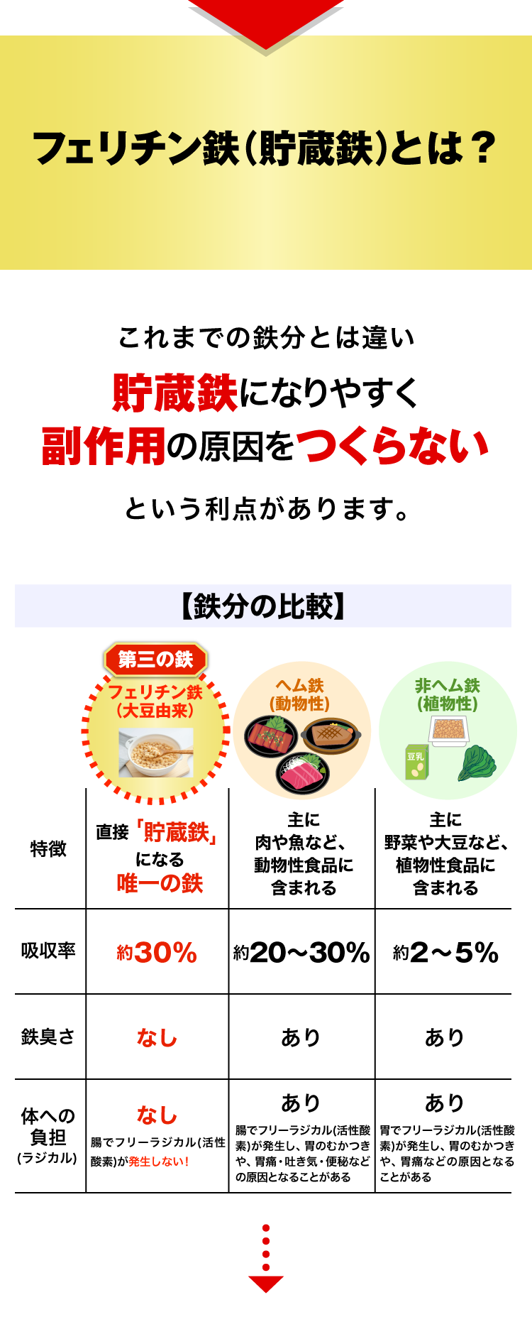 フェリチン鉄（貯蔵鉄）とは？第3の鉄とも呼ばれこれまでの鉄分とは違い貯蔵鉄になりやすく副作用の原因をつくらないという利点があります。