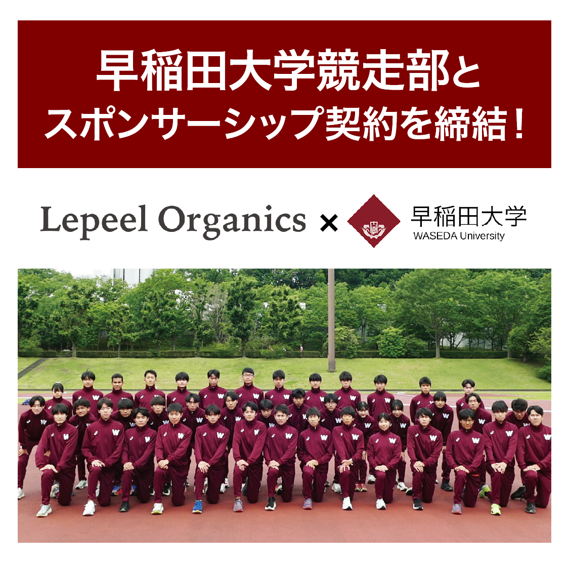 レピールまめ鉄は学業とスポーツ高い集中力と体力を必要な早稲田大学生を応援しています！