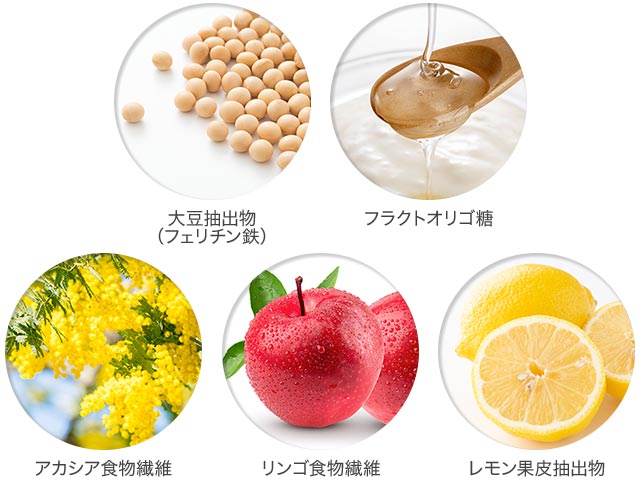 大豆抽出物（フェリチン鉄） フラクトオリゴ糖 アカシア食物繊維 リンゴ食物繊維 レモン果皮抽出物