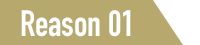 Reason 01