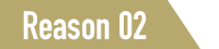 Reason 02