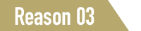Reason 03