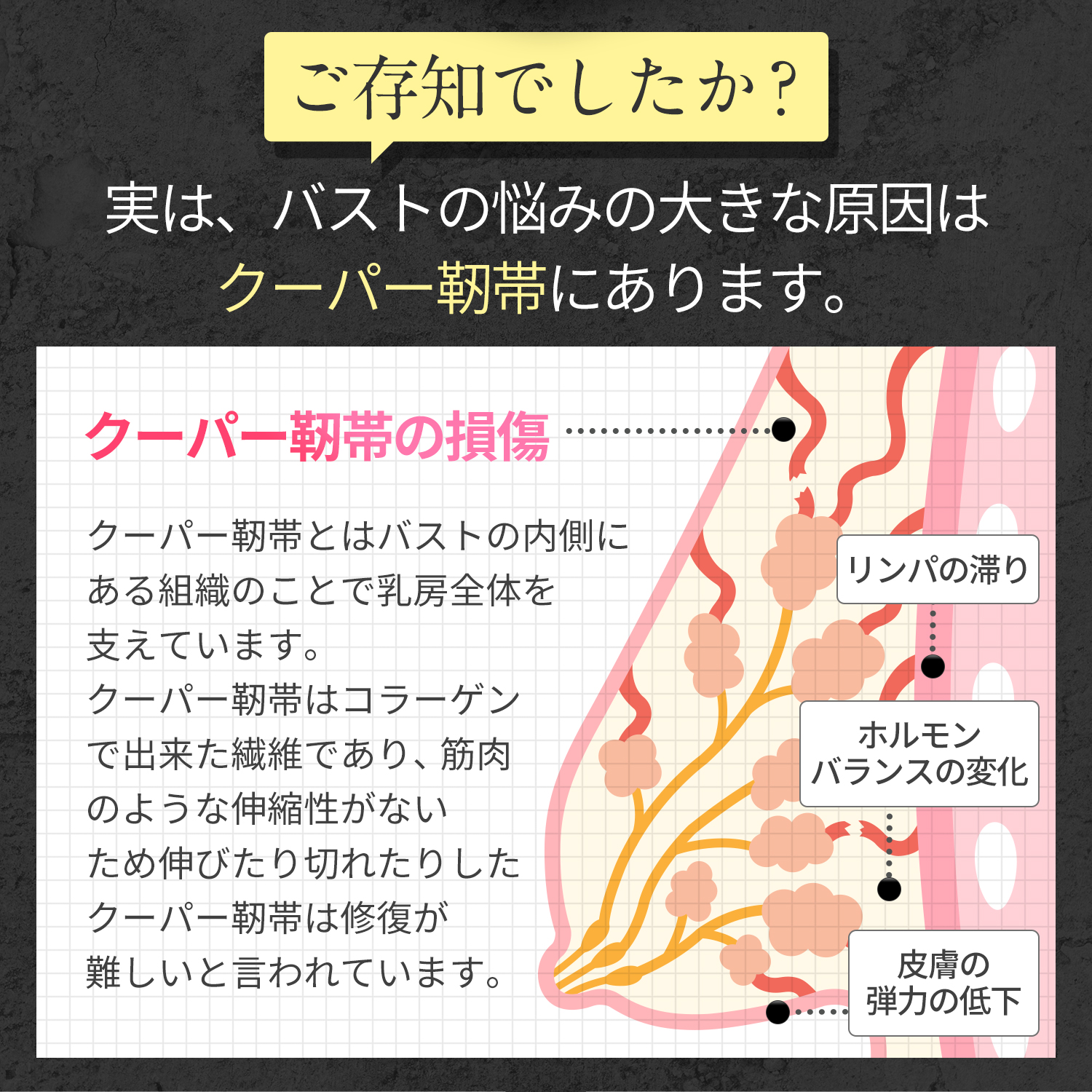 LEXY L'AMOUR（レクシーラムーア）