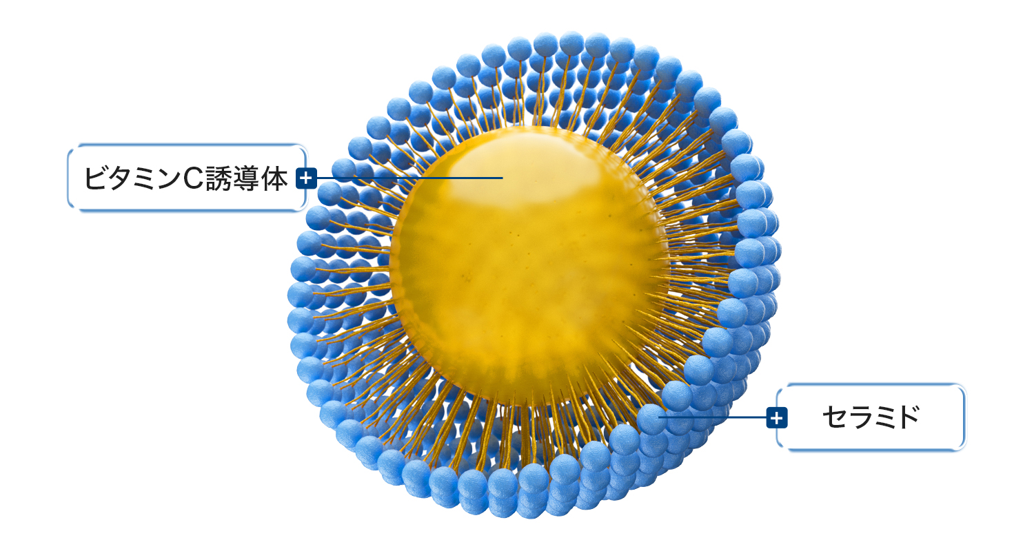 liposome image
