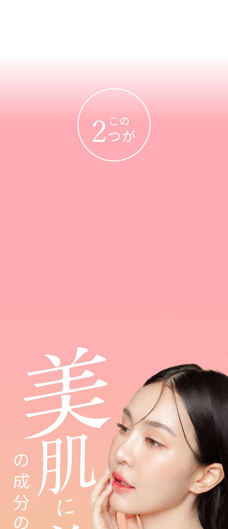 美肌に必須の成分の生成促進！