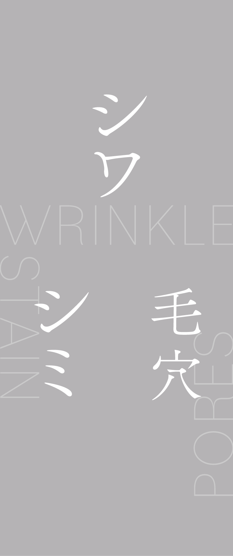 シワ シミ 毛穴