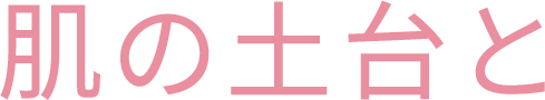 肌の土台と