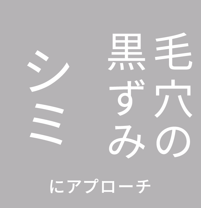 シミ 毛穴の黒ずみにアプローチ