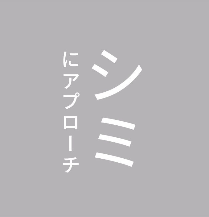シミにアプローチ