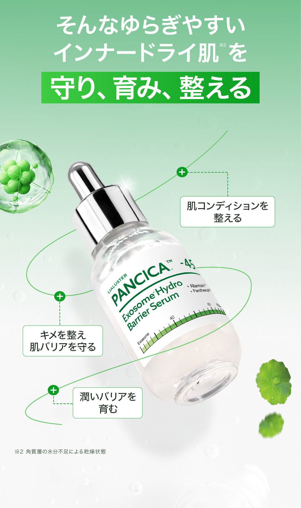 そんなゆらぎやすいインナードライ肌を守り、育み、整える