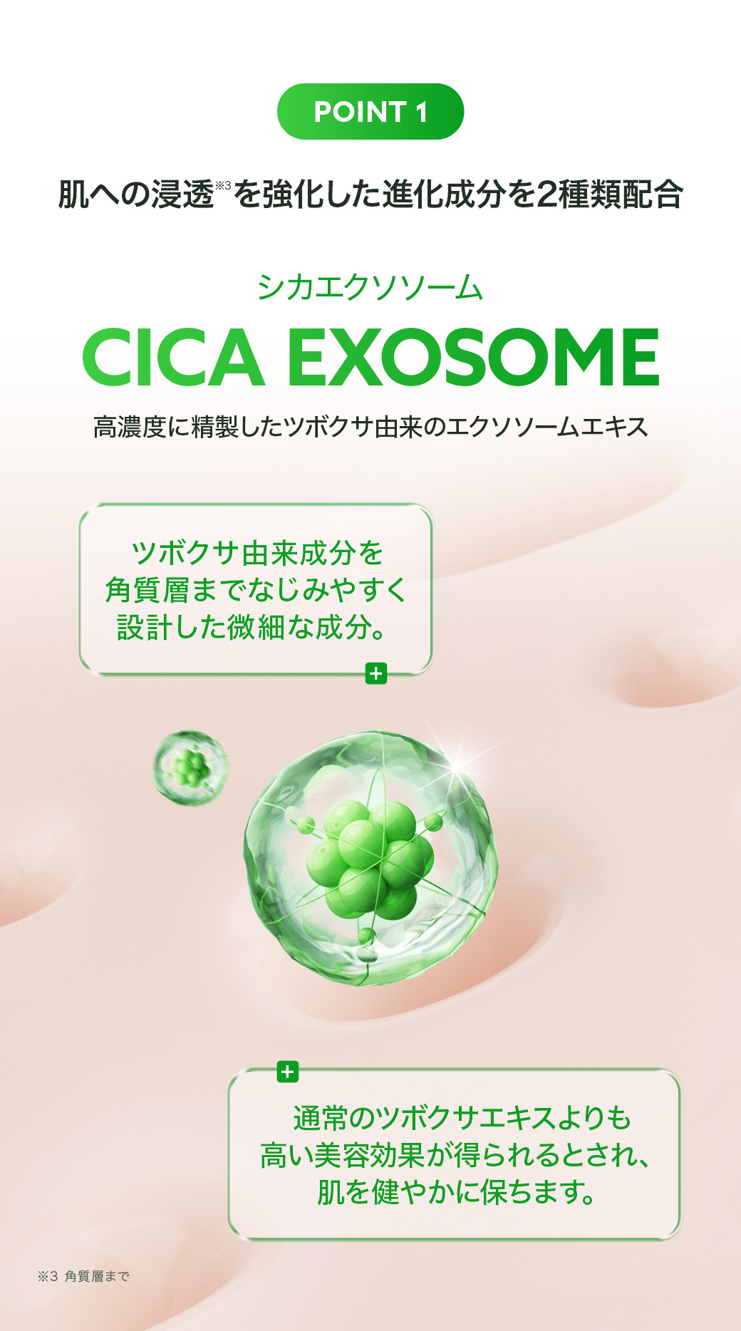 シカエクソソーム