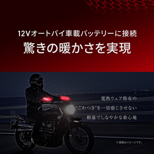 Heat Master 12Vヒートレザーグローブ LTシリーズ TYPE-1 LIDEF