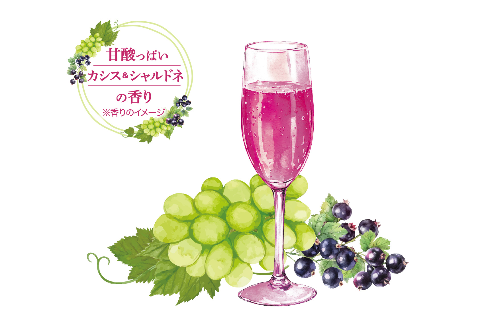 ベビーフット カシス&シャルドネの香り