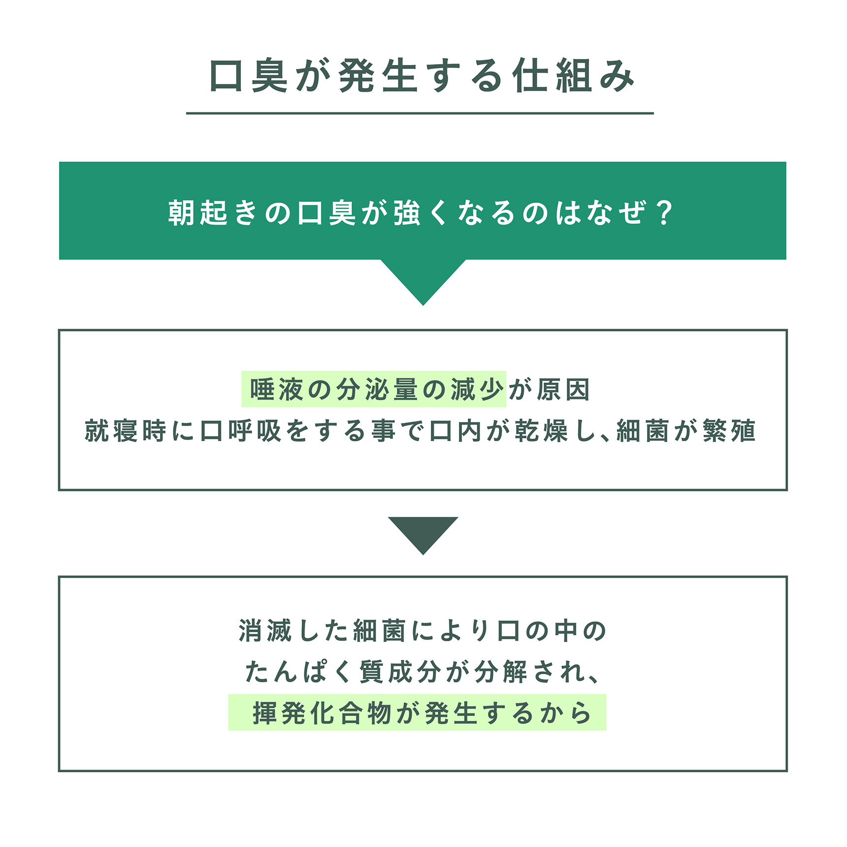 口臭が発生する仕組み 朝起きの口臭が強くなるのはなぜ？→唾液の分泌量の減少が原因 就寝時に口呼吸をする事で口内が乾燥し､細菌が繁殖 消滅した細菌により口の中のたんぱく質成分が分解され、揮発化合物が発生するから