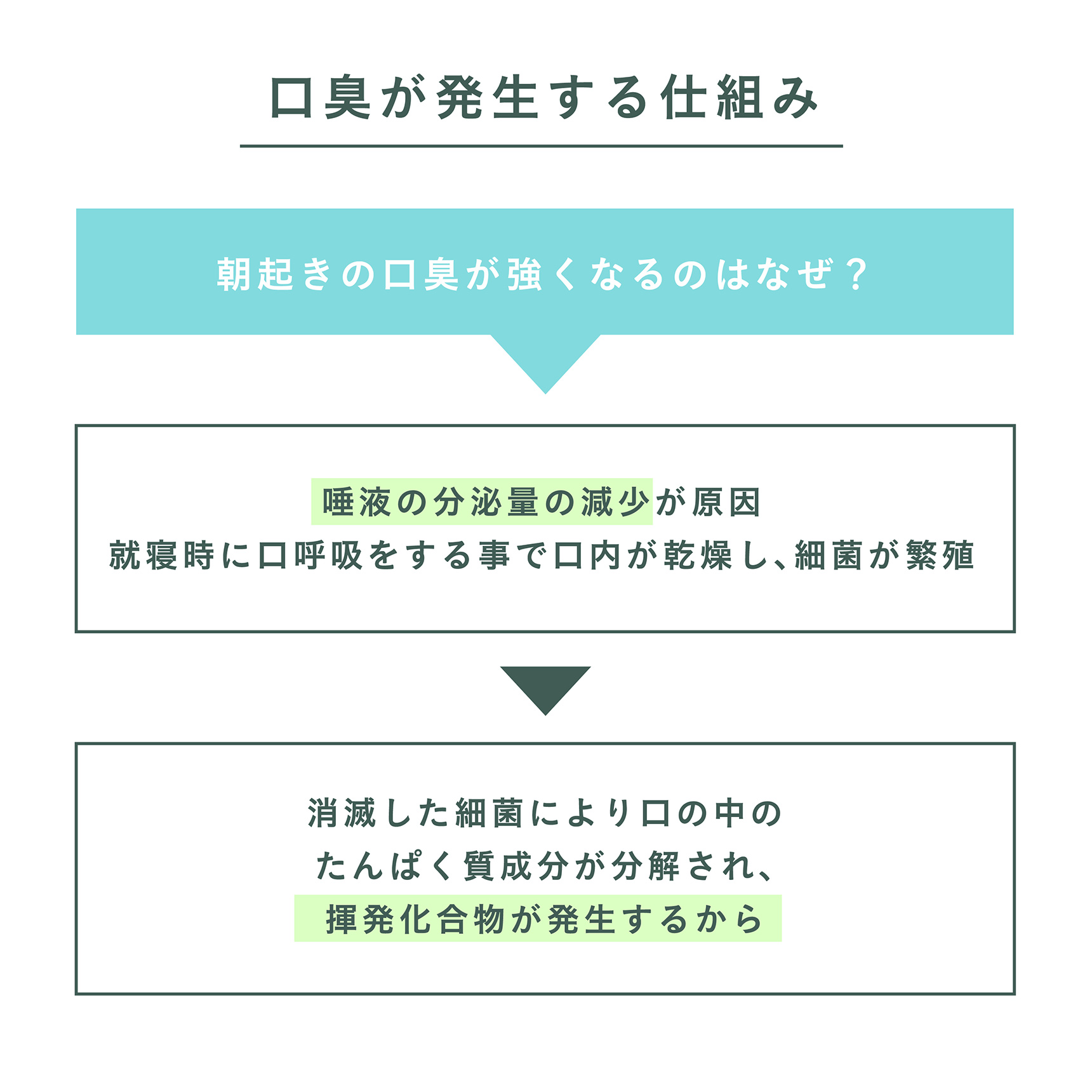 口臭が発生する仕組み 朝起きの口臭が強くなるのはなぜ？→唾液の分泌量の減少が原因 就寝時に口呼吸をする事で口内が乾燥し､細菌が繁殖 消滅した細菌により口の中のたんぱく質成分が分解され、揮発化合物が発生するから