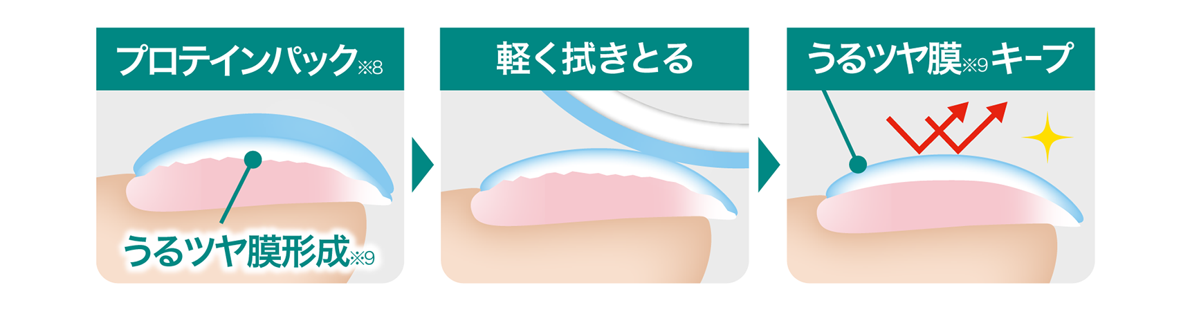 プロテインパック※8→軽く拭きとる→うるツヤ膜※9キｰプ