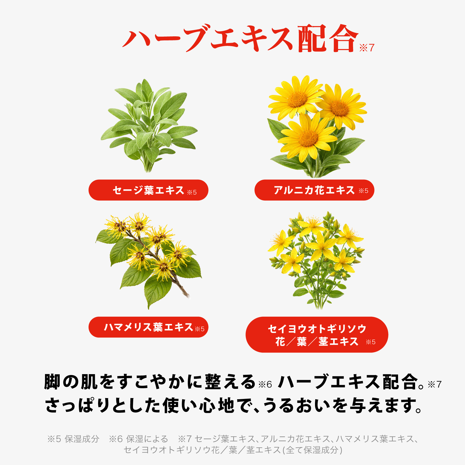 ハーブエキス配合: セージ葉エキス / アルニカ花エキス / ハマメリス葉エキス / セイヨウオトギリソウ花／葉／茎エキス  脚の肌をすこやかに整える※6ハーブエキス配合。※7 さっぱりとした使い心地で、うるおいを与えます。