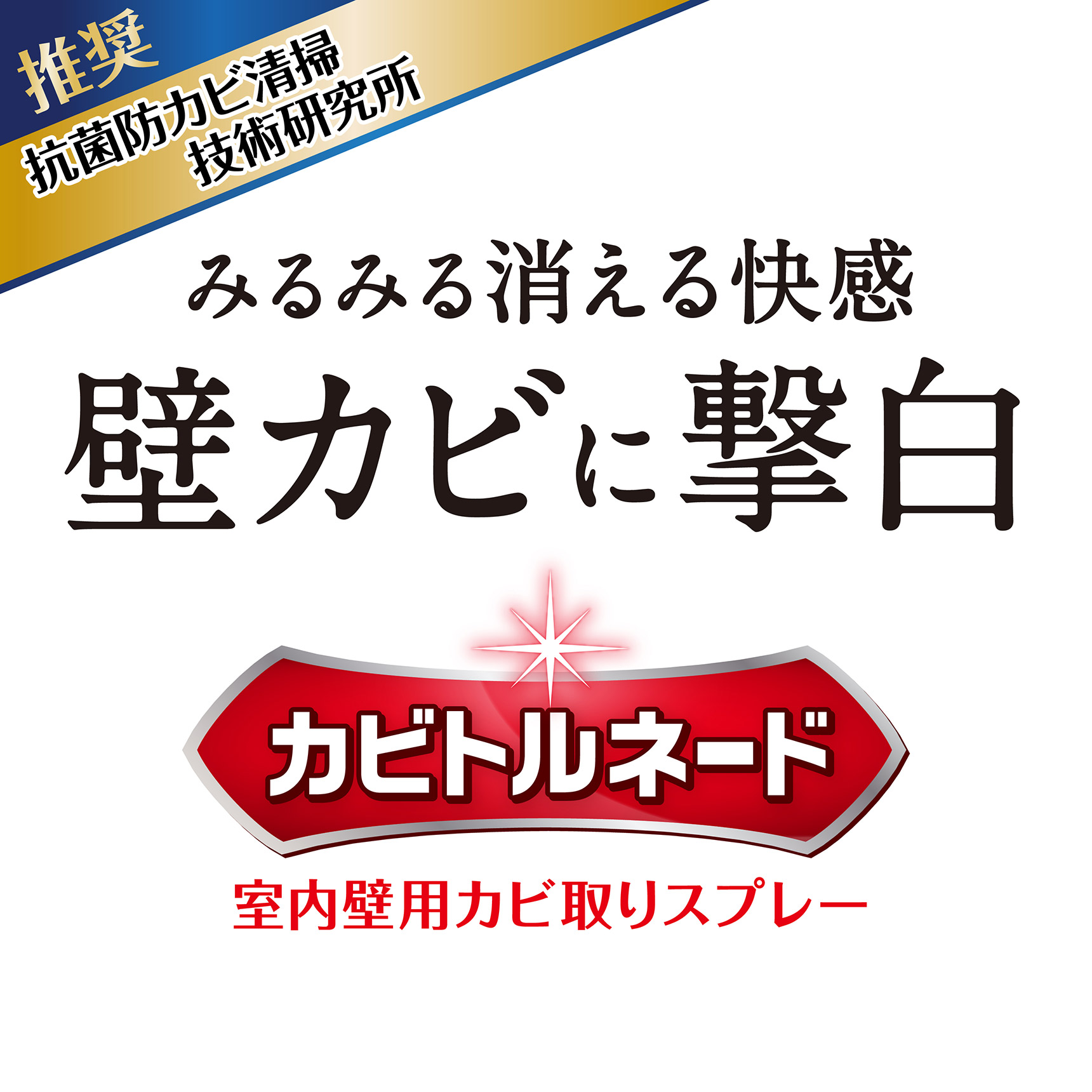 抗菌防カビ清掃技術研究所推奨 みるみる消える快感 壁カビに撃白 カビトルネード 室内壁用カビ取りスプレー
