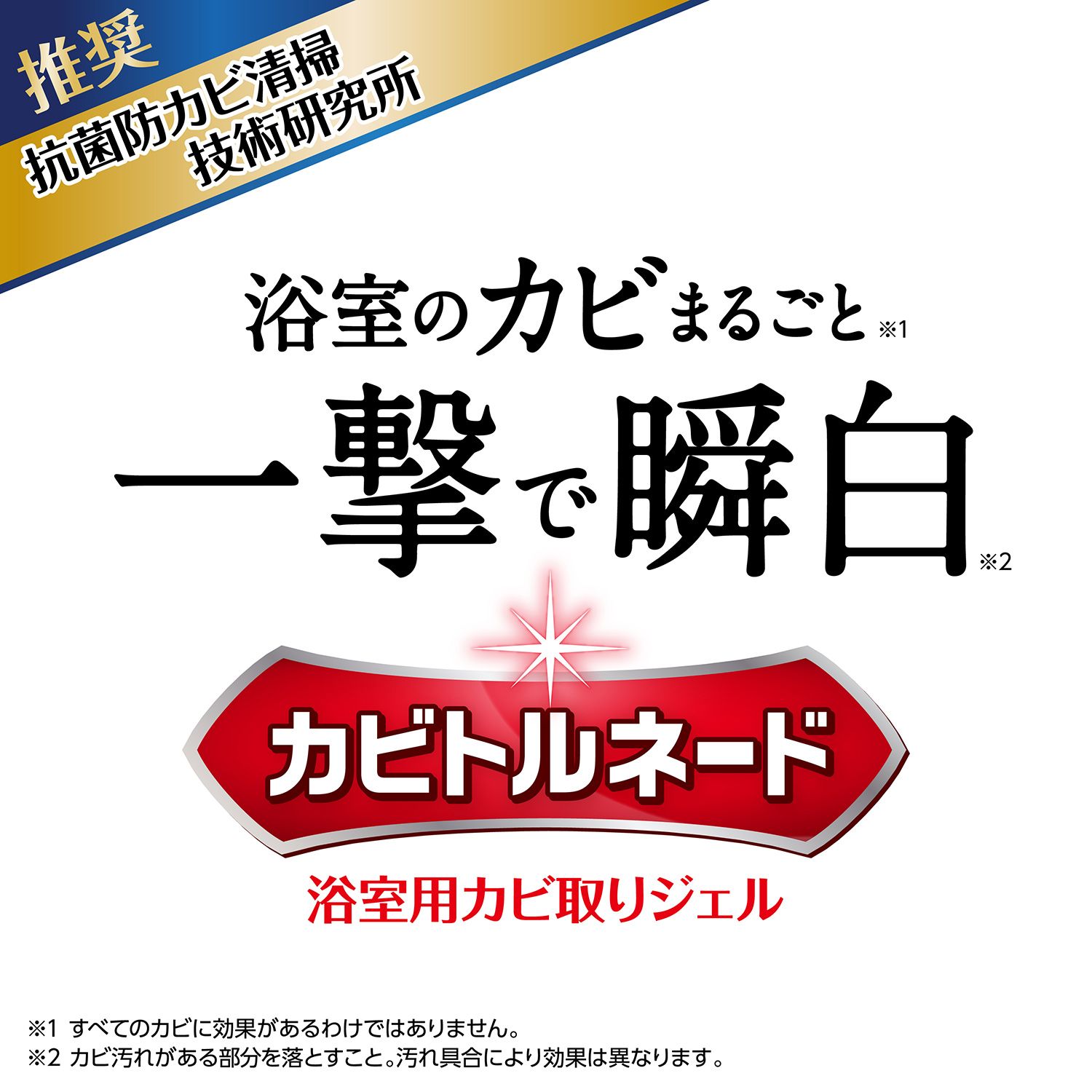 カビトルネード 浴室用カビ取りジェル 浴室のカビまるごと一撃で漂白　抗菌防カビ清掃技術研究所推奨