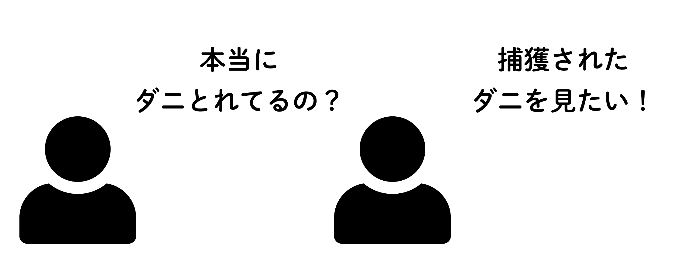 本当にダニとれてるの? / 捕獲されたダニを見たい!
